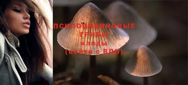винт Бородино