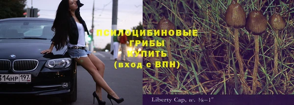 винт Бородино
